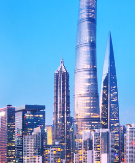 专业的团队